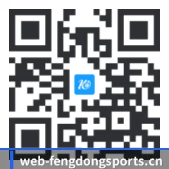 系统版 iOS 二维码